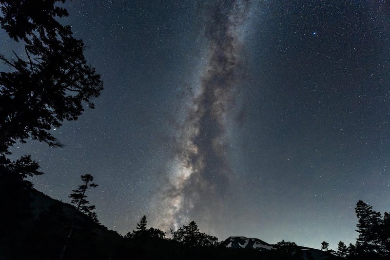 Celestial Gardens